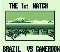Nintendo World Cup